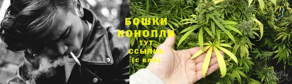 гидра Россошь