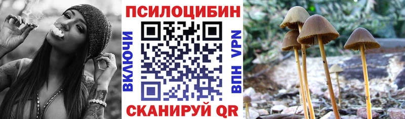 Купить закладки  Шали  Галлюциногенные грибы мицелий 