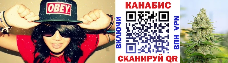 Купить закладки  Шали  Конопля планчик 